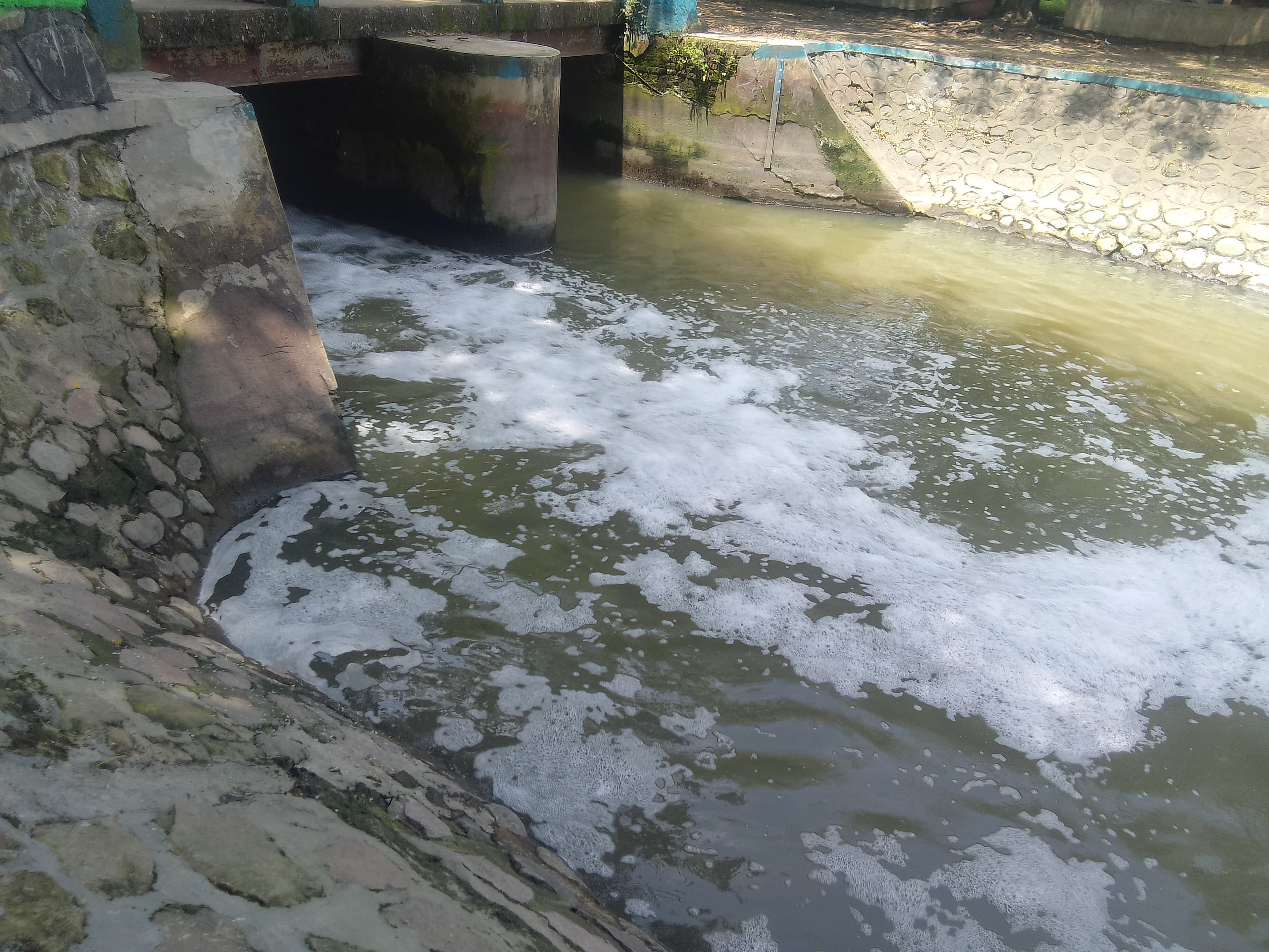 DIDUGA LIMBAH: Sungai berbusai di Dam Bono, Desa Sedati Gede, Sidoarjo. (DIKY SANSIRI/RADAR SIDOARJO)