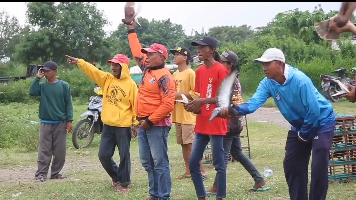 HIBURAN: Pecinta merpati balap memilih ngabuburit dengan menggelar latihan adu kecepatan terbang di area persawahan Praloyo Asri, Kelurahan Gebang.
