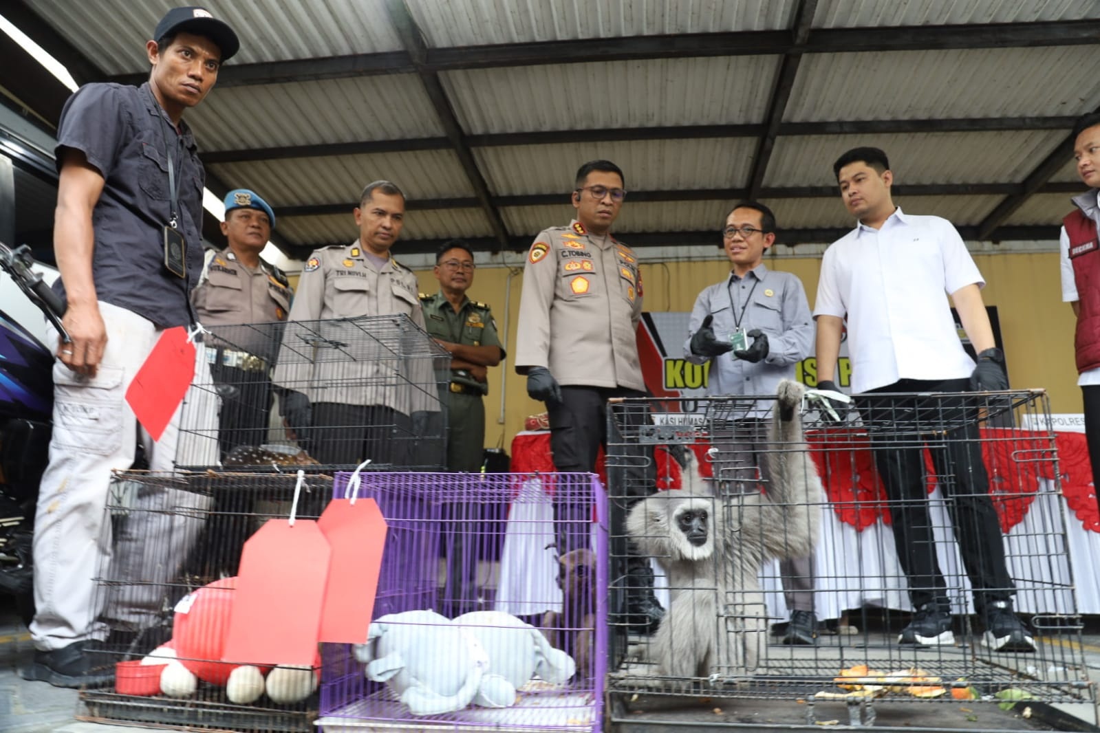  DIAMANKAN: Kapolresta Sidoarjo Kombes Pol Christian Tobing beserta jajaran menunjukkan barang bukti satwa yang dilindungi. (SURYANTO/RADAR SIDOARJO)