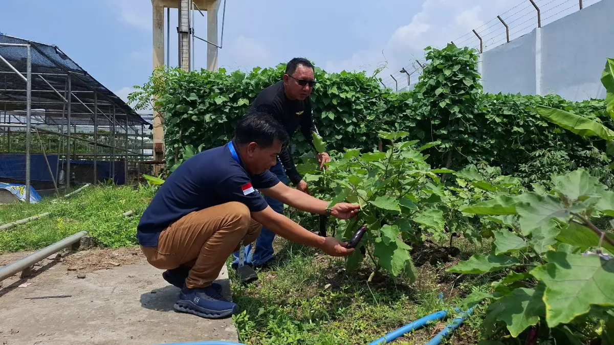 PERTANIAN: Kalapas Kelas I Surabaya, Sohibur Rachman (kanan) bersama Asisten II Setda Bidang Perekonomian dan Pembangunan, Bahrul Amig melihat hasil ketahanan pangan.