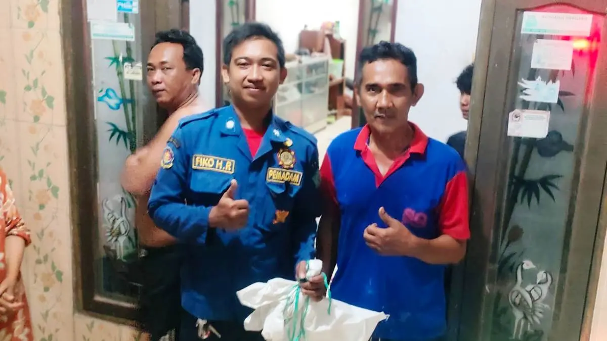 RESCUE: Personel BPBD Sidoarjo menunjukkan ular yang berhasil dievakuasi.