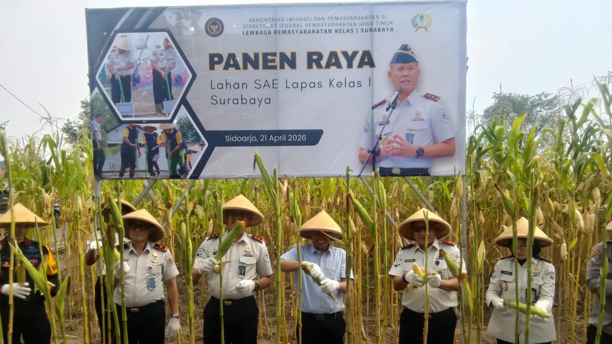 PRODUKTIF: Ketua Komisi XIII DPR RI Willy Aditya, Kakanwil Ditjenpas Jatim, Kadiyono, dan Kalapas Kelas I Surabaya, Sohibur Rachman, panen jagung secara simbolis. (Foto LAPAS KELAS I SURABAYA)
