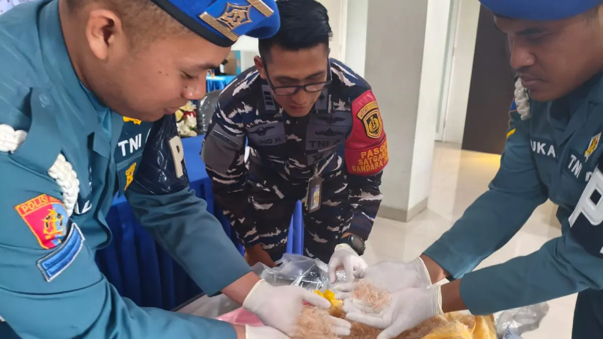 KETAT: Petugas menunjukkan benih bening lobster yang akan diselundupkan di Bandara Juanda Sidoarjo.&nbsp;