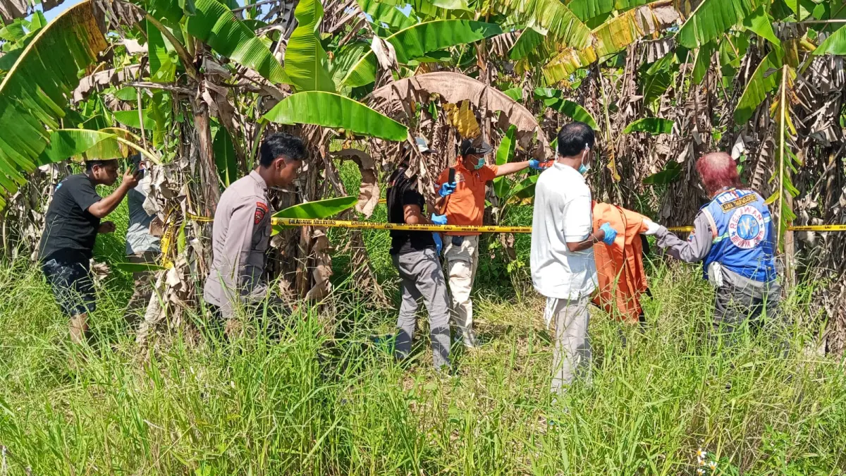MEMBUSUK: Polisi lakukan evakuasi mayat di persawahan Dusun Wonogiri, Desa Wonoplintahan, Kecamatan Prambon.