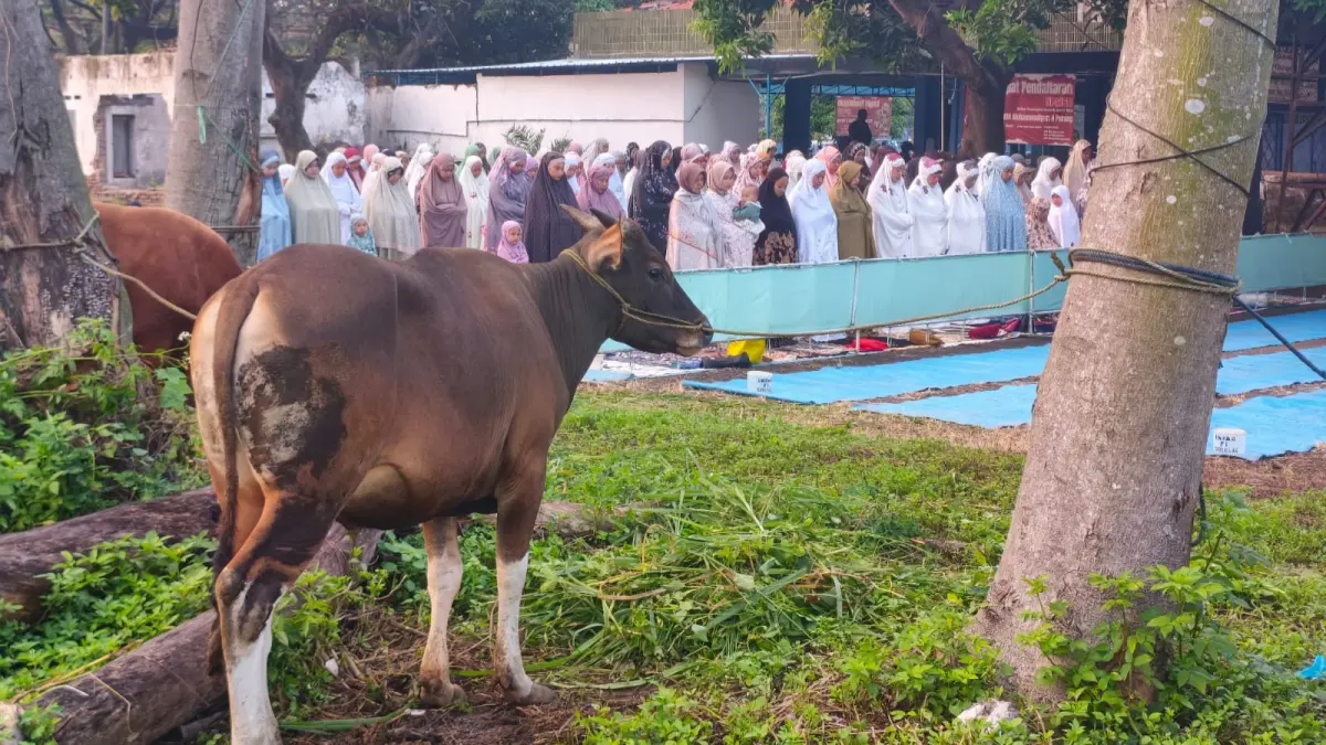 KHUSYUK: Ratusan warga terdampak lumpur salat Idul Adha di Porong, Sidoarjo, Rabu (27/5).