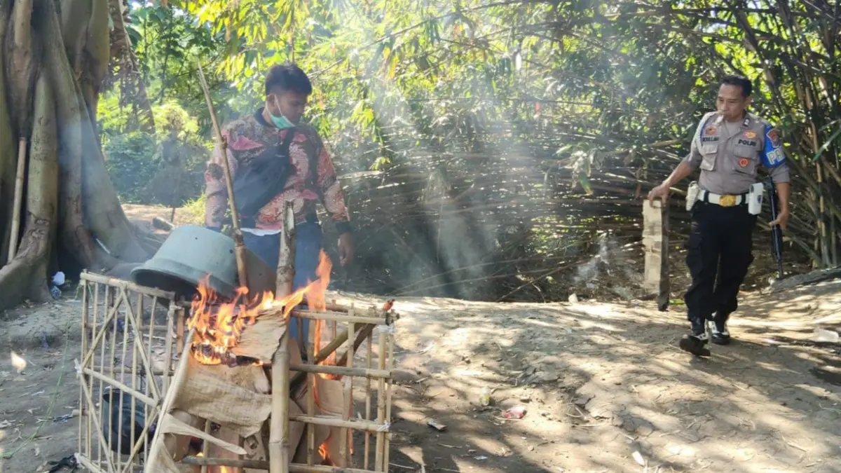 MERESAHKAN: Personel Polsek Tulangan saat menggerebek arena judi sabung ayam di Desa Kemantren, Tulangan, Sidoarjo.&nbsp;