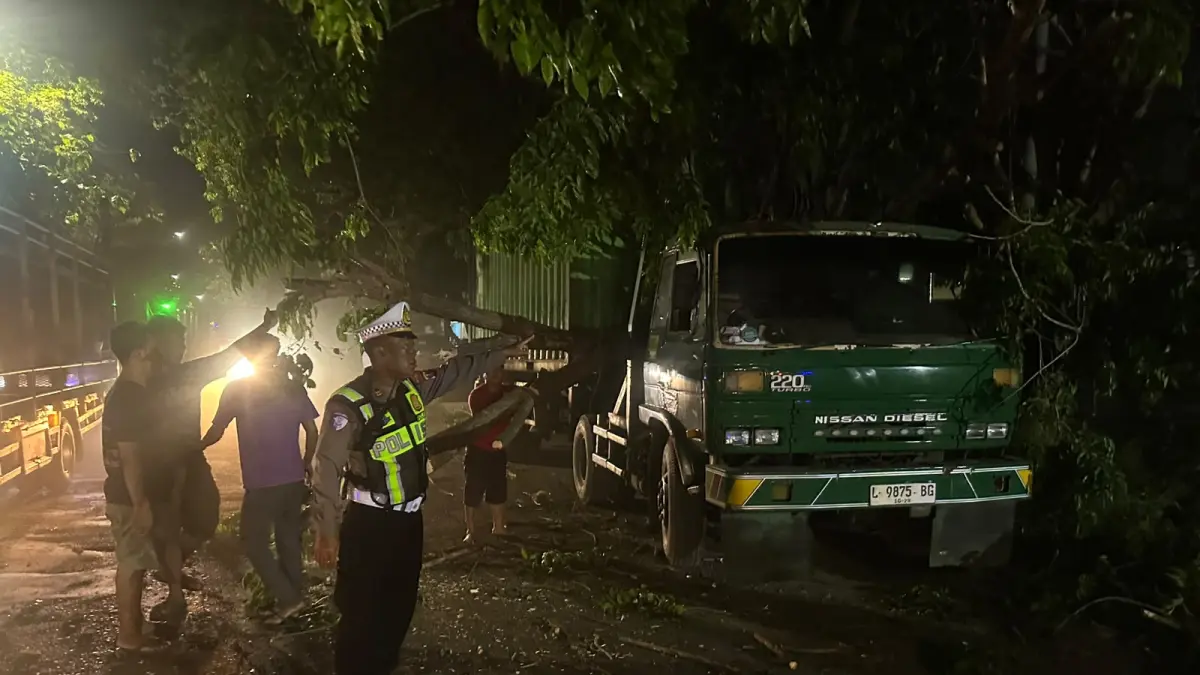 PERISTIWA: Petugas gabungan berusaha mengevakuasi pohon tumbang di Lingkar Timur, Buduran, Sidoarjo.