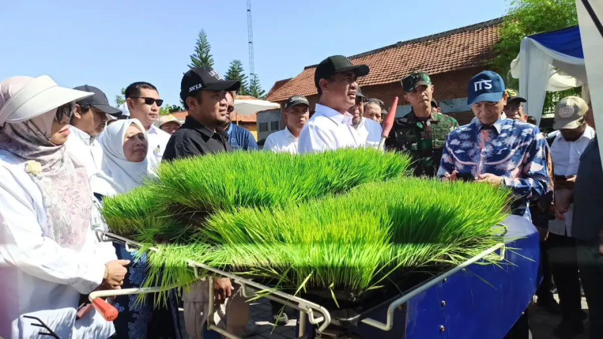 KETAHANAN PANGAN: Menteri Pertanian RI Andi Amran Sulaiman meninjau benih jagung hibrida MTE-09 hasil riset ITS di Kampus ITS Buncitan, Sedati, Sidoarjo, Rabu (22/7).