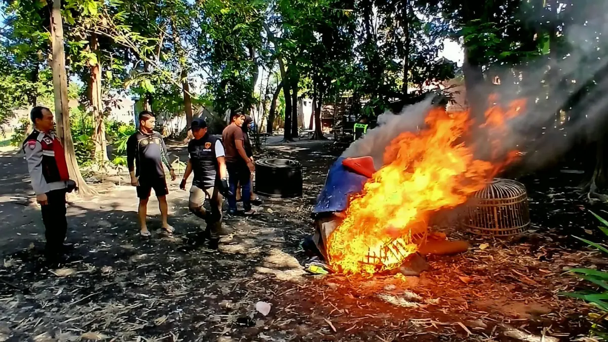 TEGAS: Petugas membakar sarana yang diduga digunakan sebagai arena judi sabung ayam di Desa Kemangsen, Balongbendo.