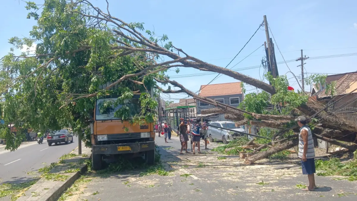APES: Petugas berusaha mengevakuasi truk yang tertimpa pohon tumbang di Jalan Raya Trosobo, Taman, Sidoarjo.&nbsp;