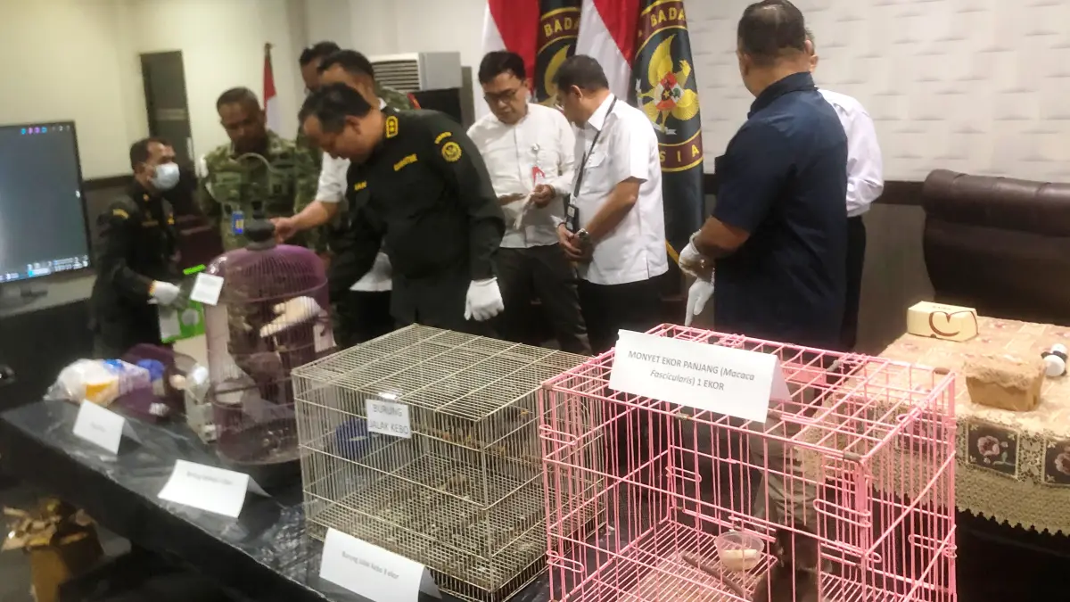 DIAMANKAN: Petugas menunjukkan satwa yang hendak diselundupkan melalui Bandara Juanda Surabaya. (SURYANTO/RADAR SIDOARJO)