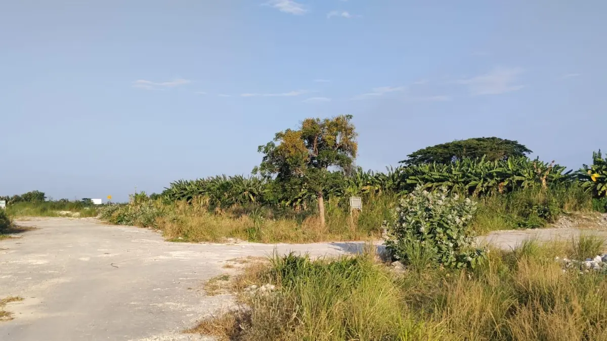 PROSES: Bozem bakal dibangun di Tambaksawah, Waru, Sidoarjo. (DIKY SANSIRI/RADAR SIDOARJO)