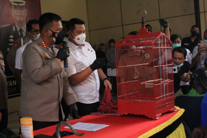 DISITA: Kapolresta Sidoarjo Kombes Pol Kusumo Wahyu Bintoro menunjukkan barang bukti sejumlah burung langka milik tersangka. (HENDRIK MUCHLISON/RADAR SIDOARJO)