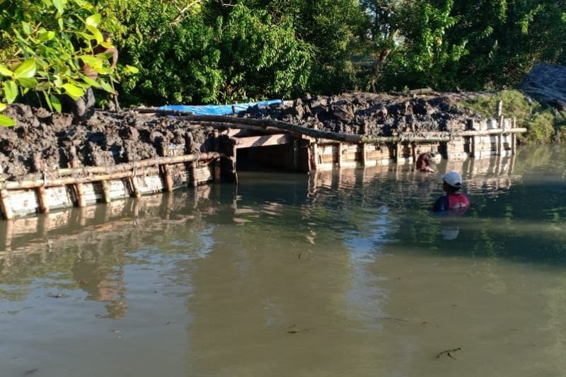 UPAYA ANTISIPASI: Seorang petani tambak meninggikan tanggulnya agar air tidak meluber.