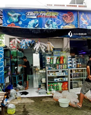 LARIS: Salah satu stan di Pasar Ikan Hias Sidoarjo. (Ist/Instagram dolordarjo)