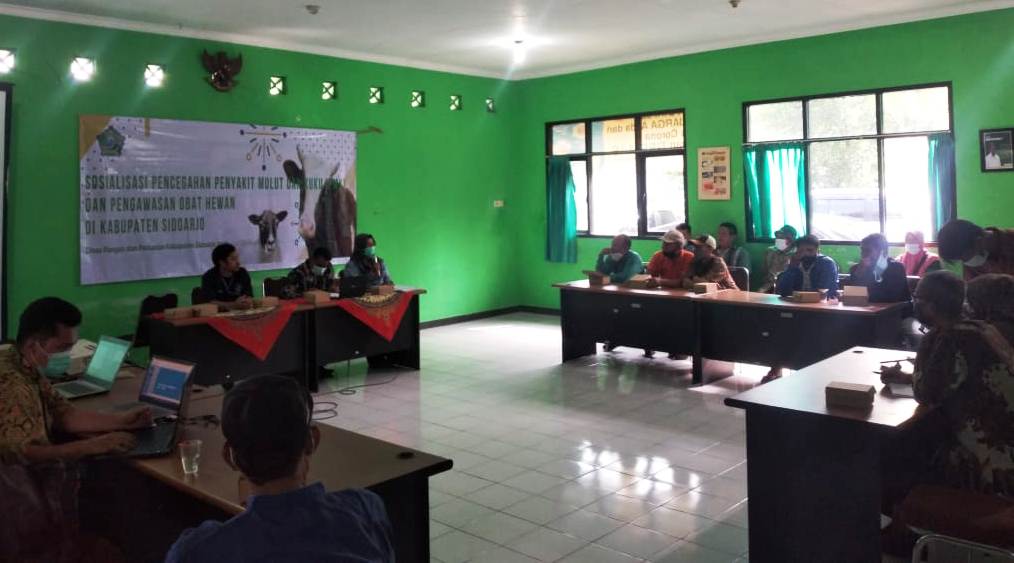PENCEGAHAN: Sejumlah peternak di Sidoarjo mengikuti sosialisasi terkait wabah PMK di Porong. (HENDRIK MUCHLISON/RADAR SIDOARJO)