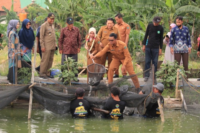 APRESIASI: Istri Wakil Bupati Sidoarjo dr Sriatun Subandi ikut memanen nila di kolam budi daya Pemdes Medaeng. (HENDRIK MUCHLISON/RADAR SIDOARJO)