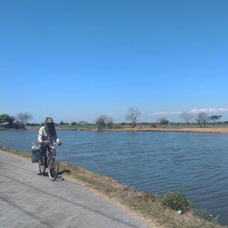 LUAS: Salah satu tambak milik petani perikanan yang ada di Sidoarjo.