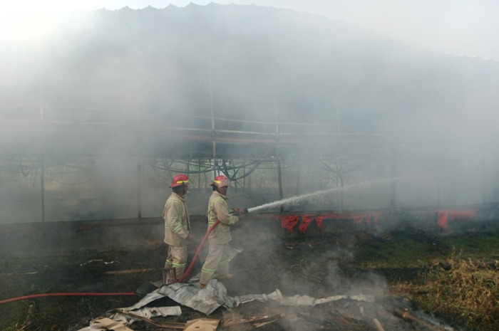 Petugas pemadam kebakaran saat melakukan pemadaman kandang ayam yang terbakar di Desa Grogol, Kecamatan Diwek.