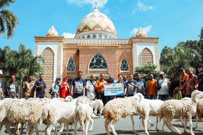Administrative Director PT CJI Ploso Mr Lee Inku menyerahkan kambing secara simbolis kepada perangkat di tiga desa sekitar di depan Islamic Center PT CJI kemarin.