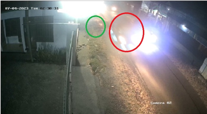 tangkapan layar CCTV saat pikap pelaku tabrak lari (lingkaran merah) usai menabrak korban sambil menyalip. sementara sepeda angin korban (lingkaran hijau) tergeletak di pinggir jalan