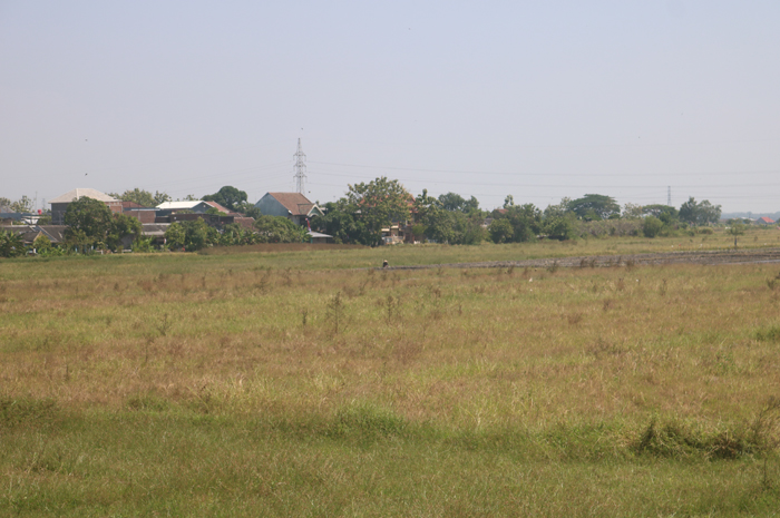 Lahan yang dibeli pemkab Jombang dari TKD Denanyar untuk relokasi pedagang PCN masih mangkrak karena alotnya lobi ke pemerintah pusat