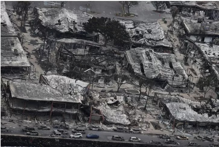 Foto udara rumah dan pohon yang hangus terbakar akibat kebakaran hutan yang merembet di Hawaii.