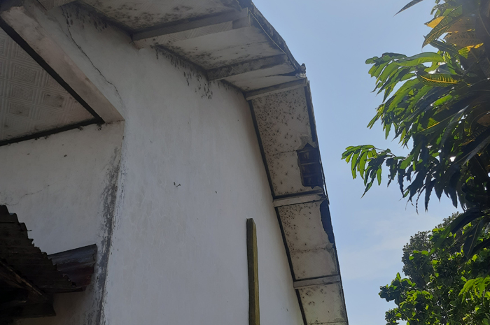 Bagian atap dan lantai SMP Negeri 1 Megaluh ini rusak dan diajukan DAK di tahun depan