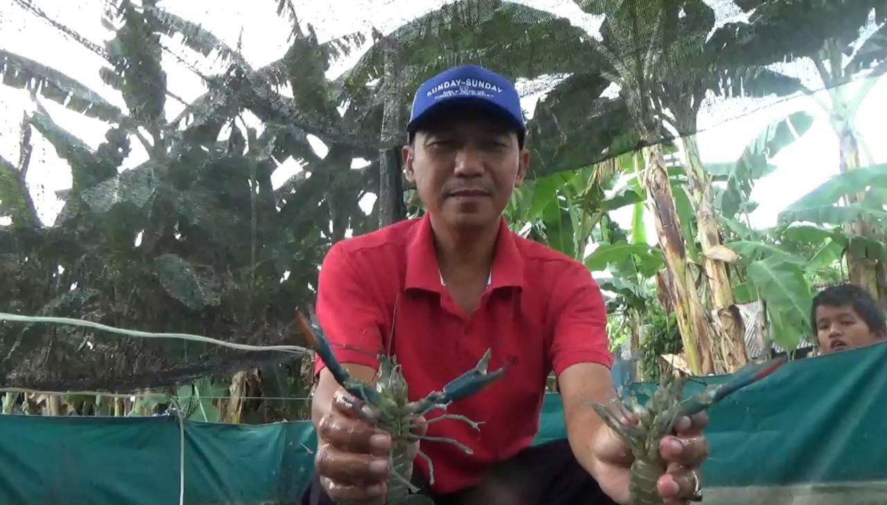 Heru Setiawan, 48, warga Desa Jogoloyo, Kecamatan Sumobito menunjukkan lobster hasil budidaya di rumahnya
