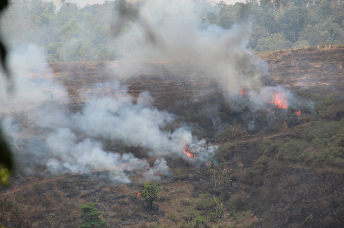 Kepulan asap dan kobaran api tampak terlihat di area lahan kering di Desa Carangwulung, Kecamatan Wonosalam, Selasa (3/10).