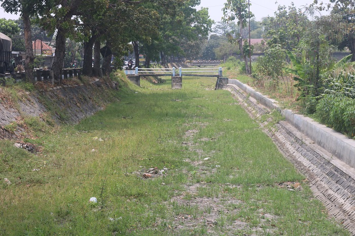 Kondisi saluran air di Desa Cangkringrandu, Kecamatan Perak ini kering bahkan tumbuh rumput.