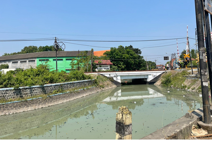 Kondisi sekunder Rejoagung di Dusun Pesantren, Desa/Kecamatan Peterongan yang berwarna putih dan berbau busuk