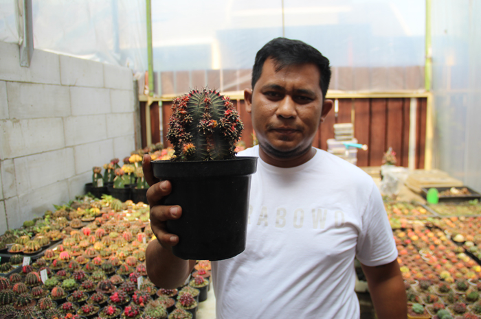 Nurfansyah, pembudidaya kaktus hias di Jombang