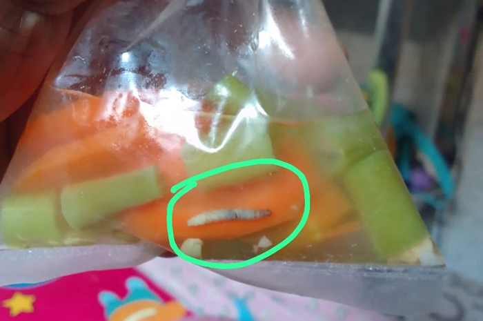 Makanan tambahan lokal yang diberikan Dinas Kesehatan Jombang kepada balita dan ibu hamil di desa Madiopuro, SUmobito dikeluhkan karena mengandung ulat belatung