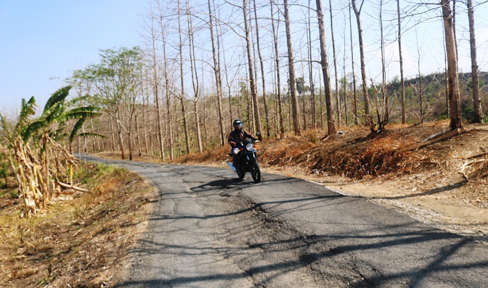 Kondisi jalan kabupaten ruas Made-Asemgede yang msih rusak parah. Jalur ini, merupakan akses satu-satunya untuk warga Asemgede menuju pusat kecamatan dan wilayah lain di Jombang