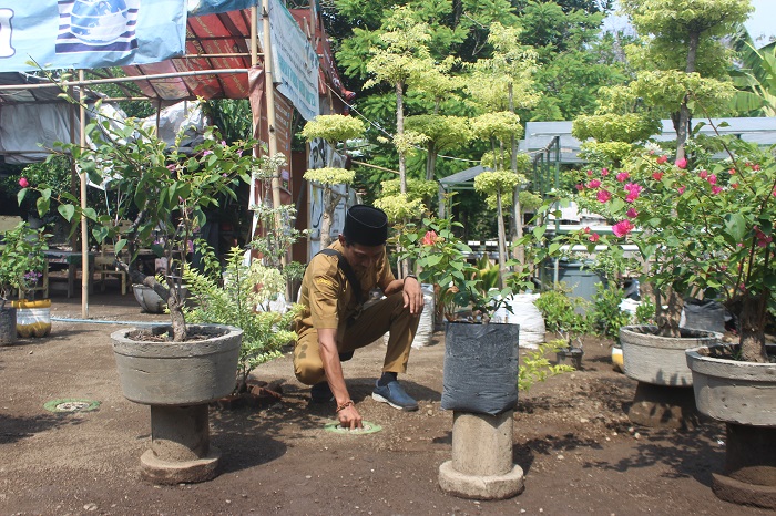 INOVATIF: Kades Dukuhdimoro Khoirul Umam, memperhatikan kebersihan dan keindahan lingkungan sekitar.