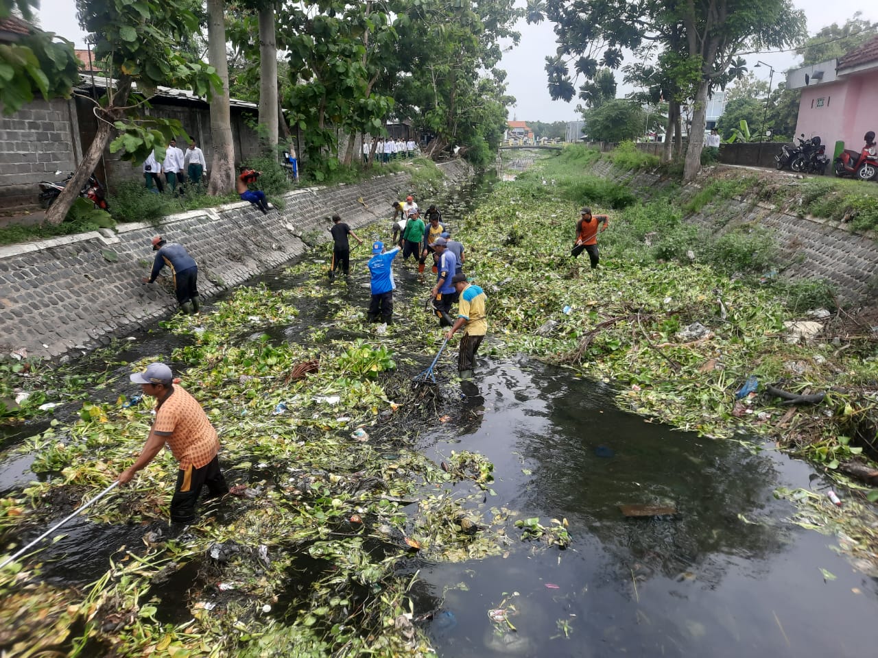 Eceng gondok yang tumbuh subur Kali Jombang Kulon Desa Tambakrejo, Kecamatan Jombang dibersihkan petugas Dinas PUPR Jombang