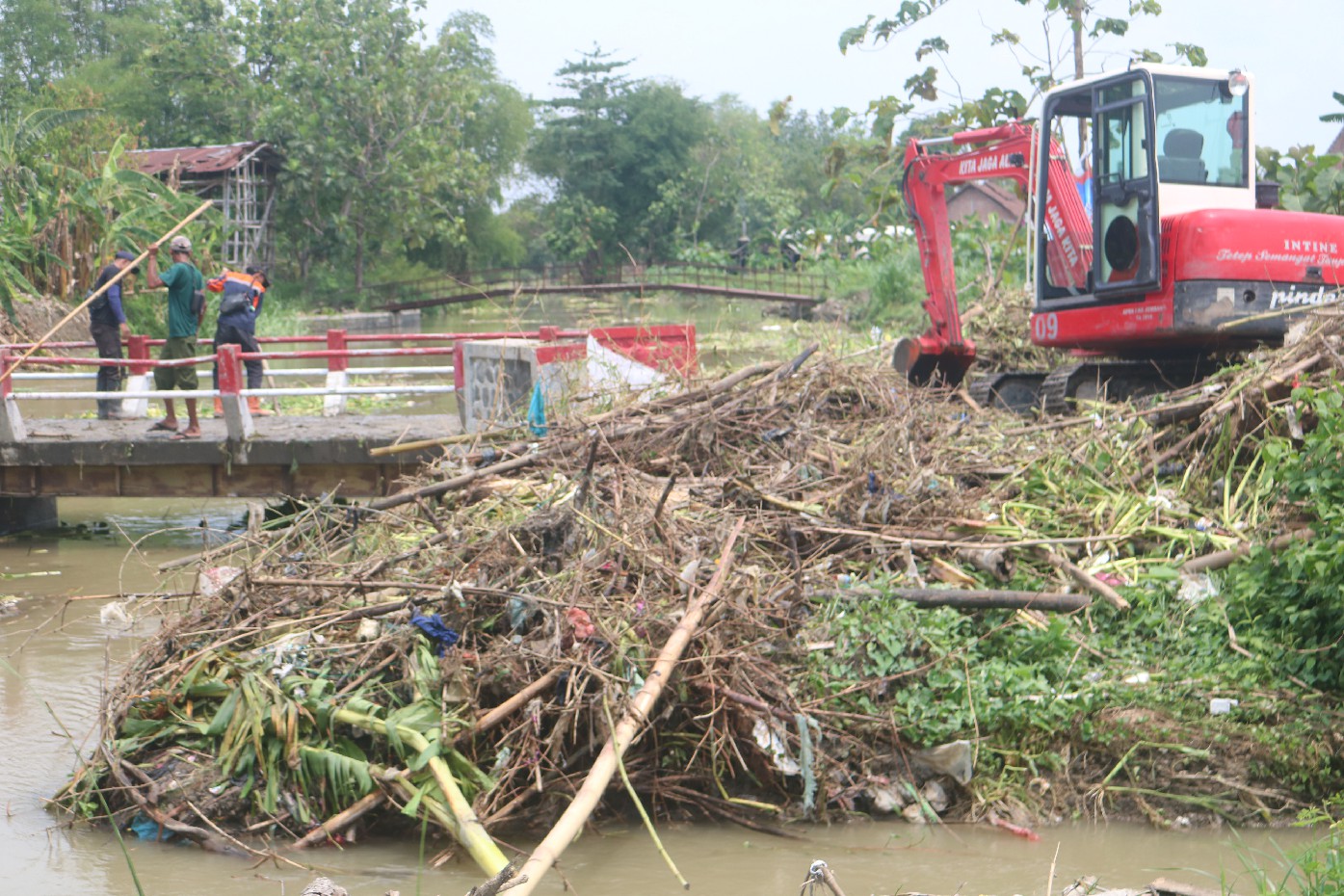 Proses pengangkatan sampah dan sangkrah yang tersangkut di Jembatan gedongombo Ploso di atas Kali Marmoyo membuat jembatan harus ditutup sementara.