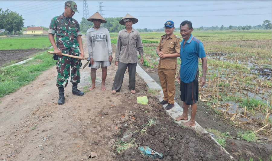 Kepala Desa Tanggalrejo, Dimas Wahyu Ramadhana didampingi Babinsa Sersan II Abdul Halim Iskandar menyapa petani di sawah, kemarin.