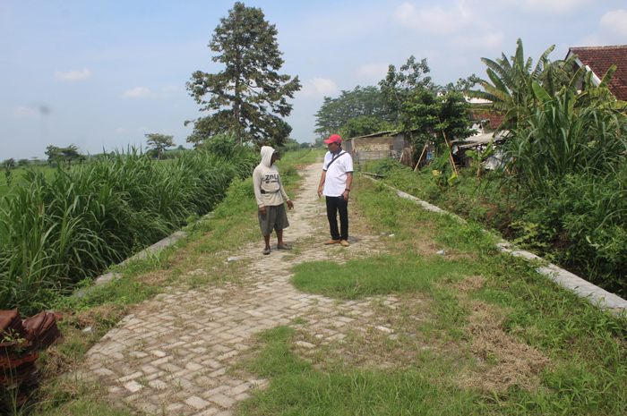 Kepala Desa Banyuarang, Achmad Anshori Wijaya menunjukkan jalan yang baru dibangun. Jalan ini diperuntukkan untuk akses petani agar lebih mudah menuju ke sawah.