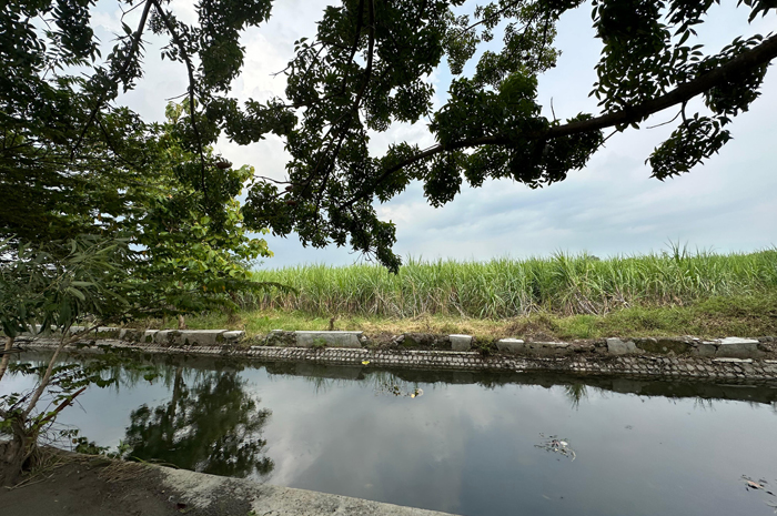 TKD Pandanwangi, Disek Jombang yang sedianya akan jadi tempat Relokasi RSUD Jombang.