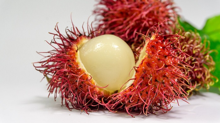 ilustrasi buah rambutan. Buah ini disebut buah ajaib dan memiliki segudang khasiat.