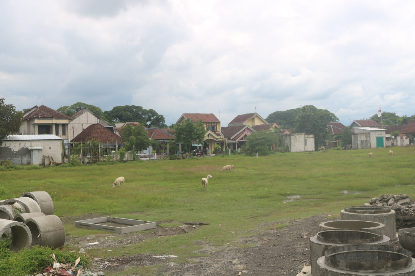 Lahan milik Perhutani ini disewa Pemkab Jombang sebagai tempat relokasi sementara pedagang saat Pasar Ploso dilakukan rehab.