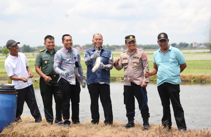 JADI POTENSI: Kepala Desa Tengaran Ahmad Kusairi (paling kanan) bersama Pj Bupati Jombang Sugiat saat panen ikan patin milik Amrozi warga setempat.