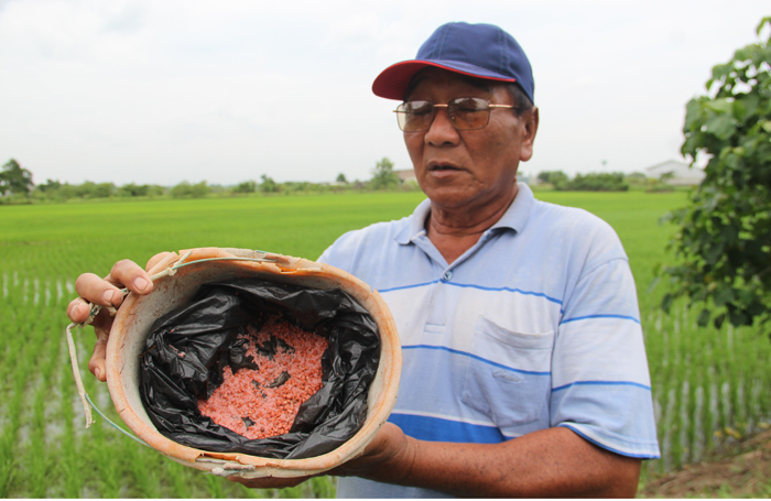 DIHEMAT: Slamet Wijiono, 62 petani di Desa Betek Jombang mengeluhkan jatah pupuk subsidi yang minim kemarin.