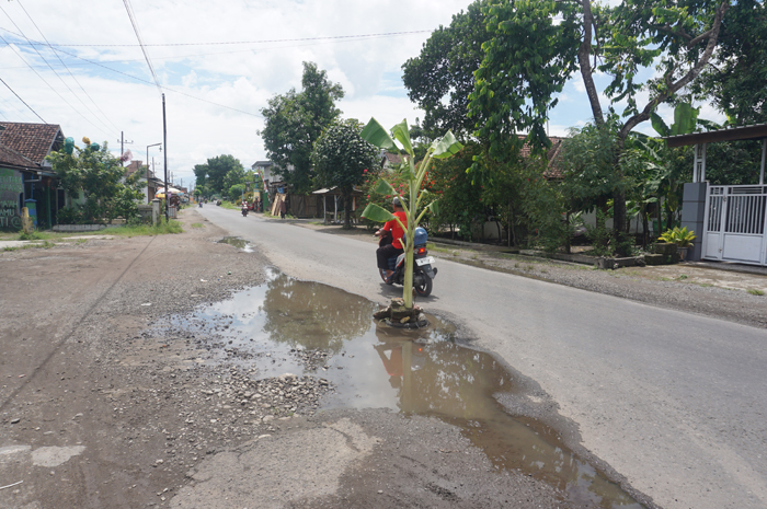 MUNCUL PISANG: Salah seorang pengendara usai melintas di salah satu lokasi kerusakan jalan ruas Cukir-Mojowarno, Senin (5/2).