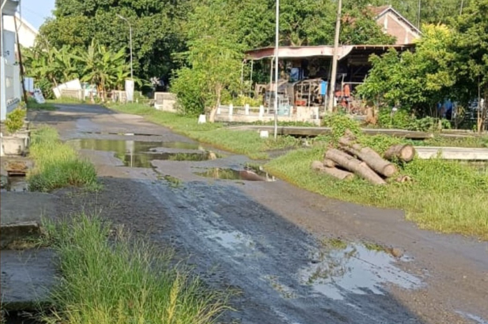 Kondisi banjir luapan Kali Marmoyo yang mulai surut di permukiman, namun masih merendam persawahan