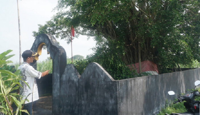 Salah satu perangkat Desa Genukwatu menunjukkan lokasi genuk batu di tengah area persawahan yang menjadi asal mula sejarah penamaan desa.
