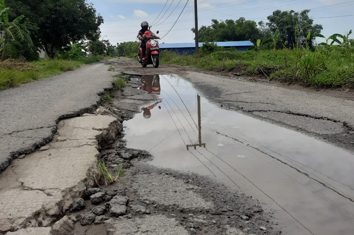 Kondisi jalan penghubung antar desa di Desa Banjardowo, Kecamatan Kabuh Jombang yang rusak berat.