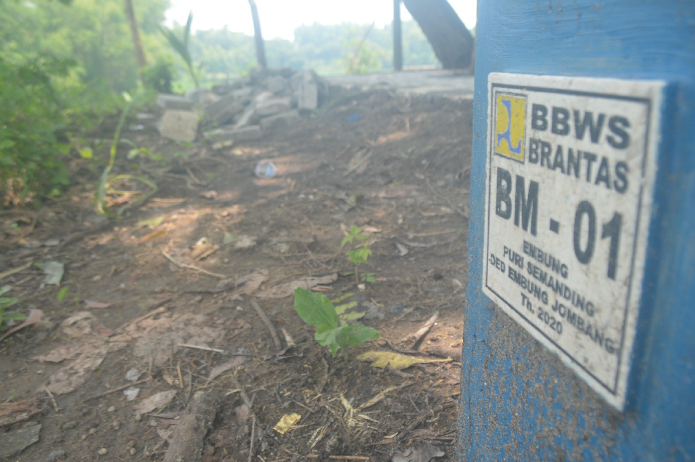 Lokasi lahan yang akan dibangun sebagai Embung Purisemanding di kecamatan Plandaan, Jombang